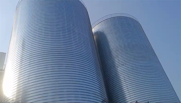 龙文2座混凝土高架卷板仓